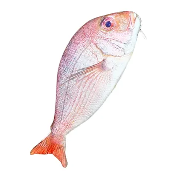 Сумка для карандашей в форме рыбы, пенал для карандашей, школьный пенал для рыб, оригинальные Школьные творческие подарки (Красный)